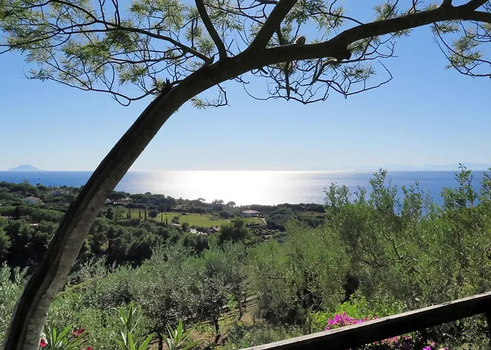 Piccola Oasi 8 By Interhome *