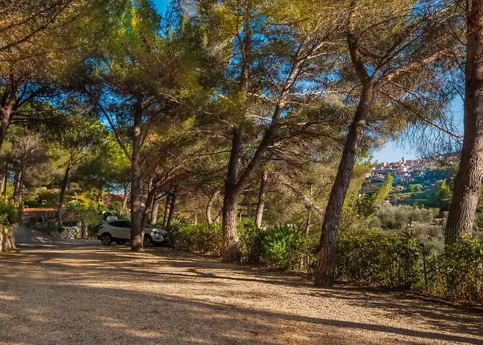 Piccola Oasi 8 By Interhome *