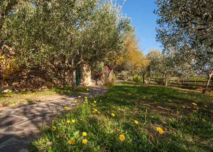 Piccola Oasi 8 By Interhome Каполивери